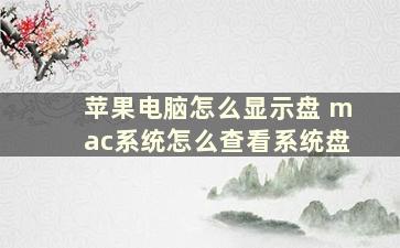 苹果电脑怎么显示盘 mac系统怎么查看系统盘